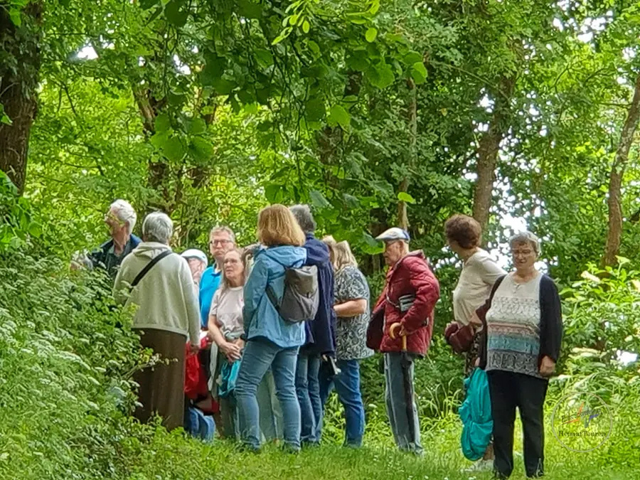Teilnehmende im Grünen an der Burg Sponheim